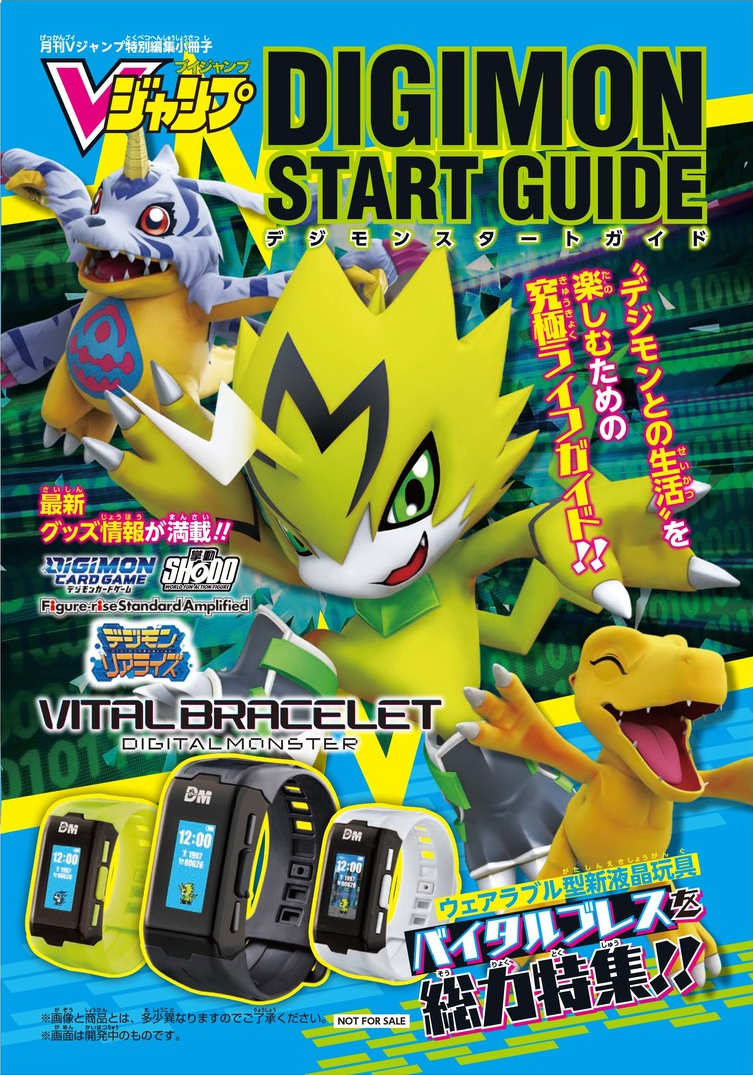 Monthly V Jump Special Editing Booklet